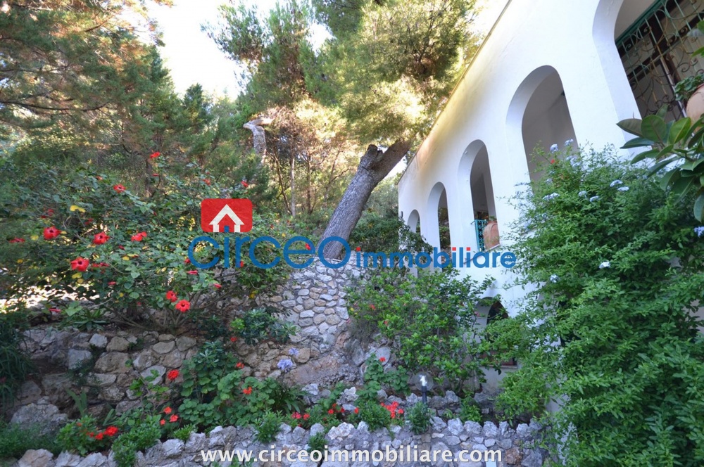 san felice circeo appartamento in affitto locazione affittasi si loca mezza costa circeo immobiliare