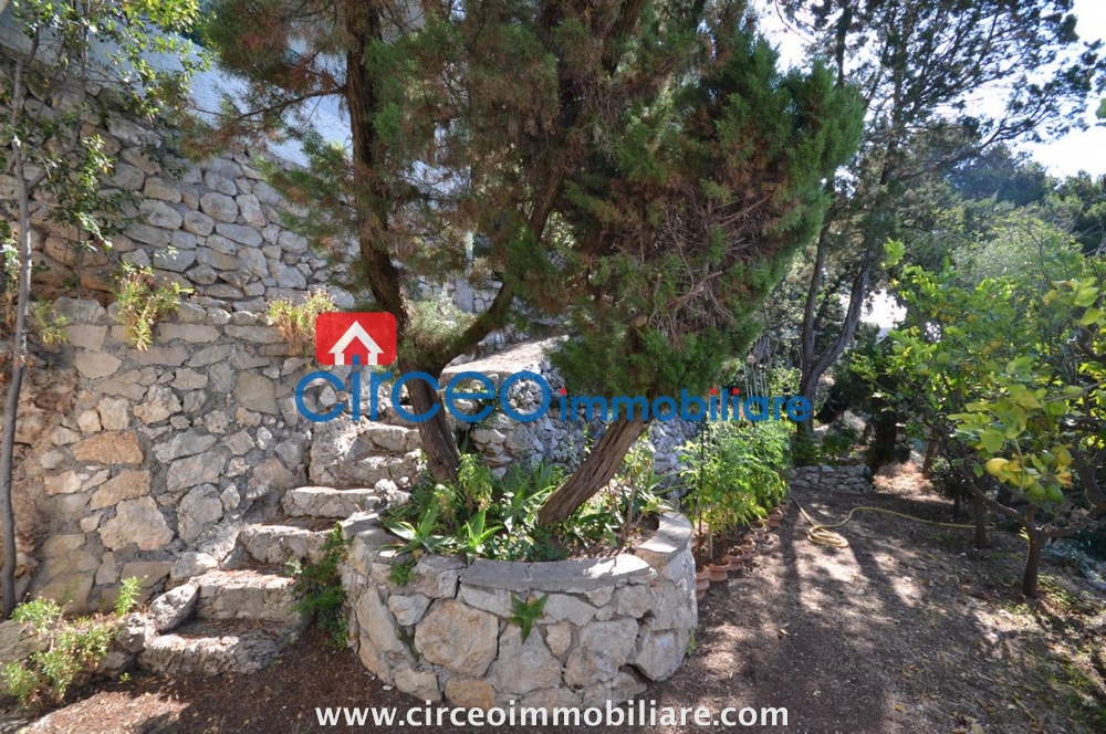 san felice circeo appartamento in affitto locazione affittasi si loca mezza costa circeo immobiliare