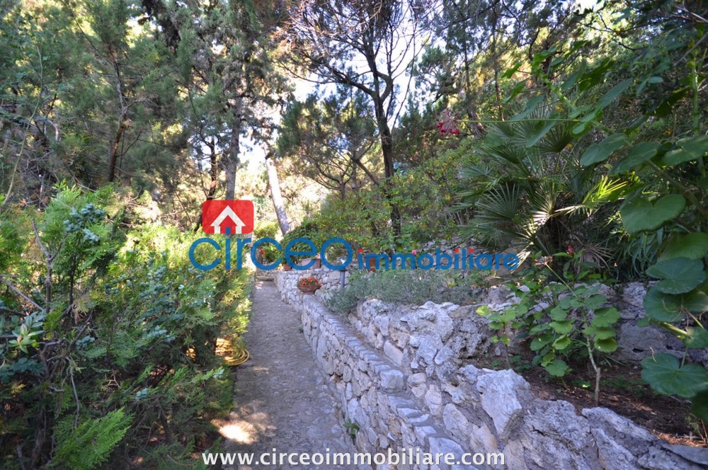 san felice circeo appartamento in affitto locazione affittasi si loca mezza costa circeo immobiliare